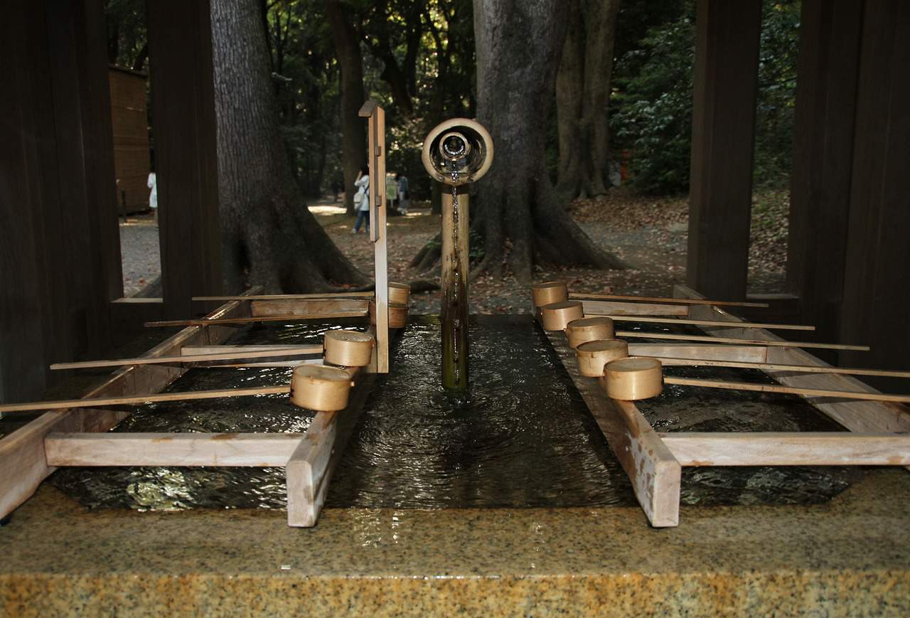 Do Water Purification Tablets Expire? Water System Expert