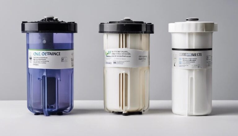 How Long Do Reverse Osmosis Water Filters Last